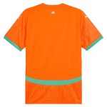 Maillot-Cote-dIvoire-Domicile-2024-2025